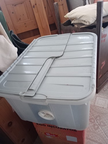 Chick brooder incubator - chick, brooder/