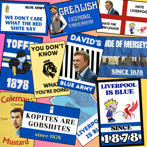 Everton ultra stickers - stickers,