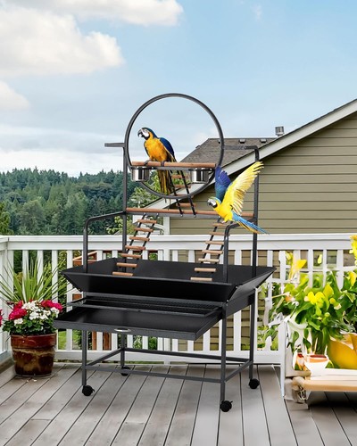 Large bird cage rolling - bird,