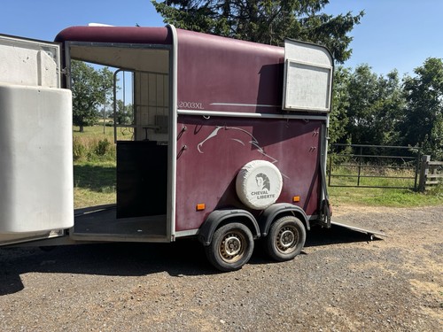 Cheval liberte 2003 - 2003, horse