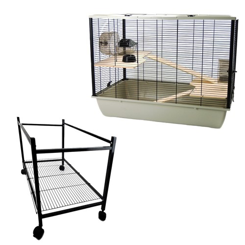 Rat syrian hamster langham - rat,