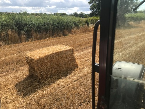 Straw bales 80x50 - bales, 4