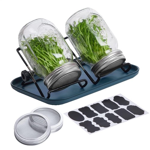 Seed sprouter germination - seed,