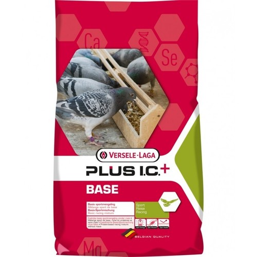 Versele laga base - versele, plus
