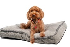 Dog Bed  - UltraSoft Fluffy