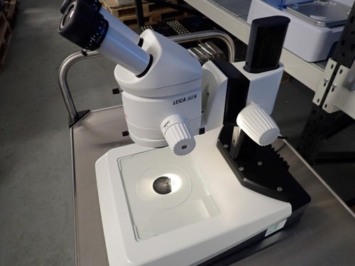 Leica mz6 microscope - mz6, microscope.