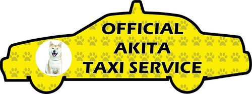 Funny akita dog taxi sevice - akita,