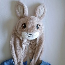 Peter Rabbit Dress Up Costume Outfit, Size 3-4 years