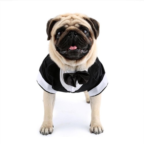 Pet suit tuxedo bow costume - bow,