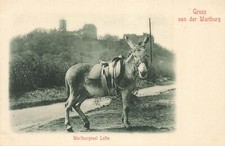 Gruss von der Wartburg German~Wartburgesel Lotte-Donkey~1900s Postcard