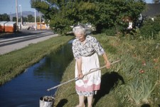 1950s Red Border Kodachrome