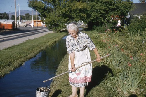 1950s red border - red, kodachrome