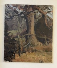 Large Original Mid Century