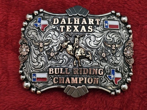 Bull riding - bull,