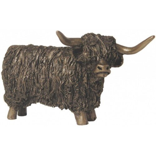 Highland bull standing cold - highland, bull,