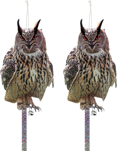 Owl pigeon repellent - owl,