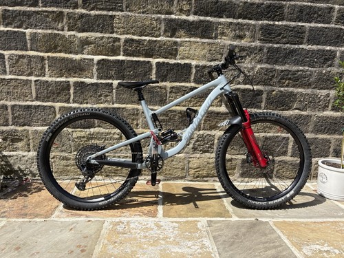 Santa cruz bronson large - bronson,
