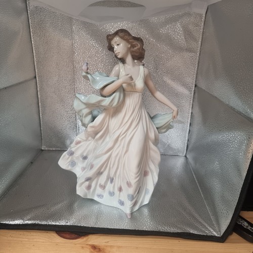 Large boxed lladro - boxed,