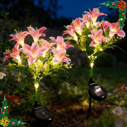 Pack solar lily flower - pack,