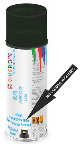 Aerosol paint spray direct - aerosol,