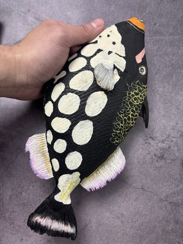 Taxidermy clown triggerfish - clown,