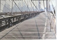 IKEA Premiar Brooklyn Bridge