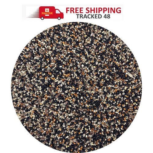 Conditioning canary finch - conditioning,