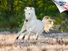 Arabian Horses Calendar 2026 12x18 Made in USA