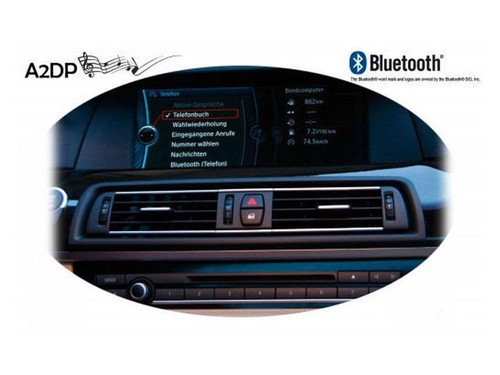 Fiscon for bmw pro - fiscon,