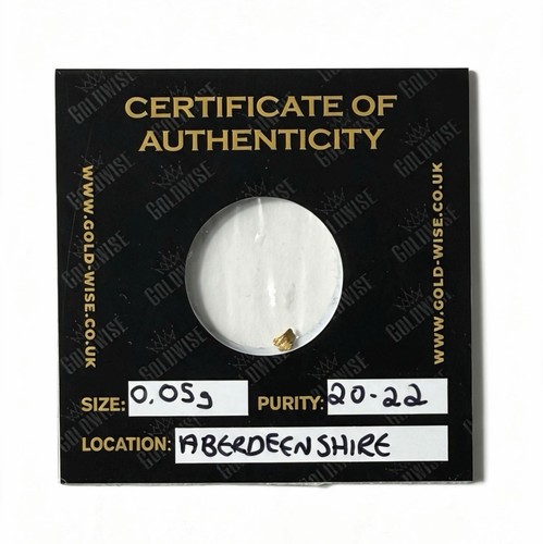 Goldwise gold nugget scottish - goldwise,