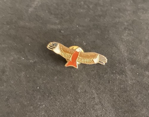Red kite bird pin badge - kite,