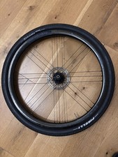 Campagnolo Shamal Carbon Disc
