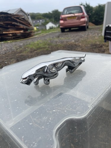 For type standing jaguar - an, x-type/standing