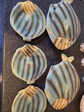 Shorter And Sons Fish Terrines