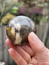 Petrified Fossilised Wood