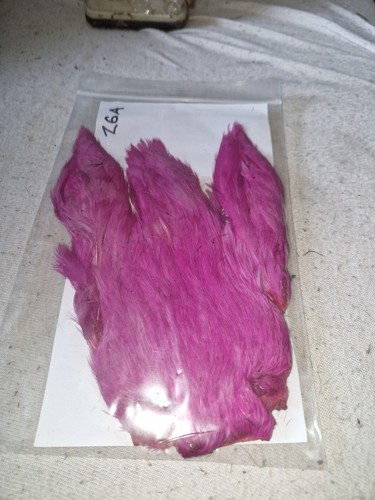Hen cape fly - hen, cape,fly