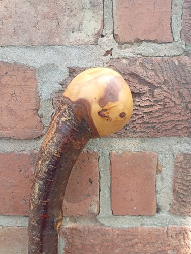 Blackthorn walking stick - blackthorn,