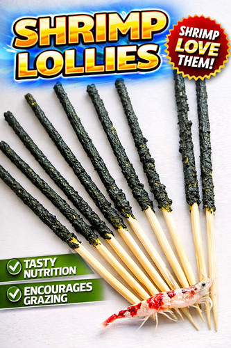 12x shrimp lollies food sticks - lollies,
