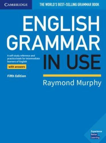 English grammar use book - grammar,
