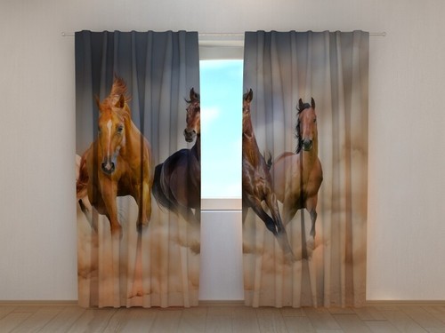 Photo curtain herd - photo, 2
