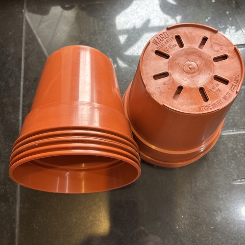 Ward 6inch 15cm - 10,