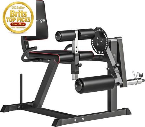 Seated leg extension and curl - leg,