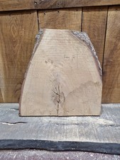 Live Edge Oak Slab (036)