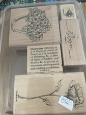 Stampin Up Bloomin With Beauty