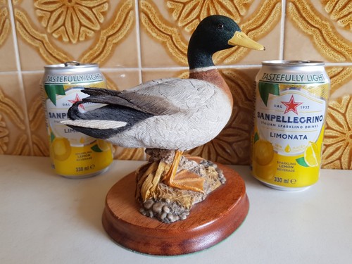 Wildtrack mallard signed - -,