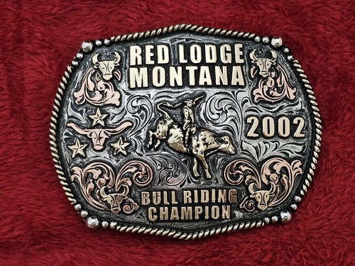 Bull riding - bull,
