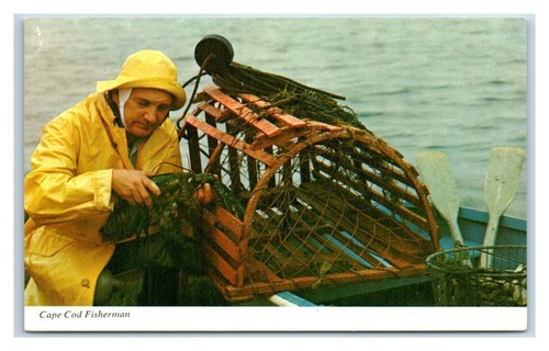 Cape cod fisherman lobster - cod,