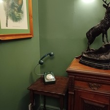 Vintage Retro Dial Telephone