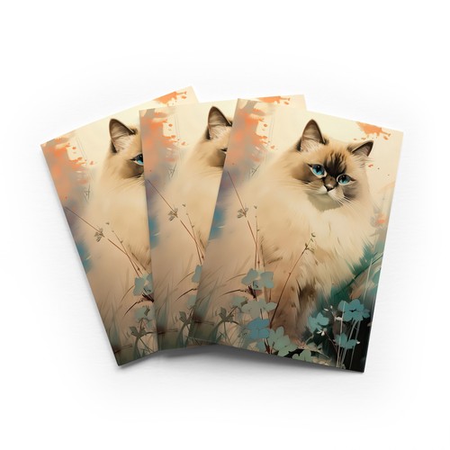 Fluffy ragdoll cat greeting - fluffy,