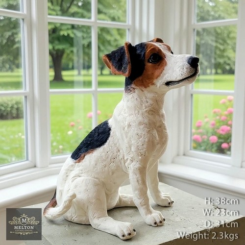 Adorable jack russell dog - adorable,